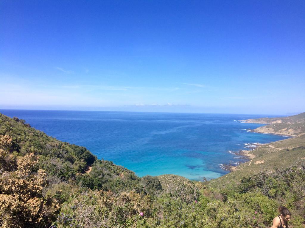 Calvi Appart Hotel Экстерьер фото